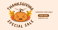 Thanksgiving Squash Facebook ad Image Preview