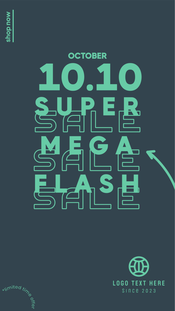 Flash Sale 10.10 Facebook Story Design Image Preview