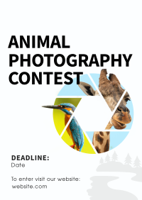 Animals Photography Contest Poster Design