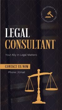 Corporate Legal Consultant Video Image Preview