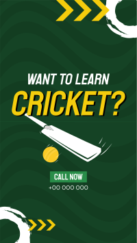 Time to Learn Cricket Instagram Reel Image Preview