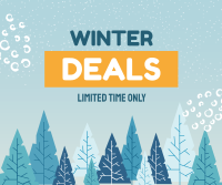 Winter Deals Facebook post Image Preview