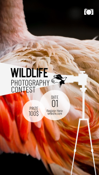 Wildlife Photography Contest Instagram story Image Preview
