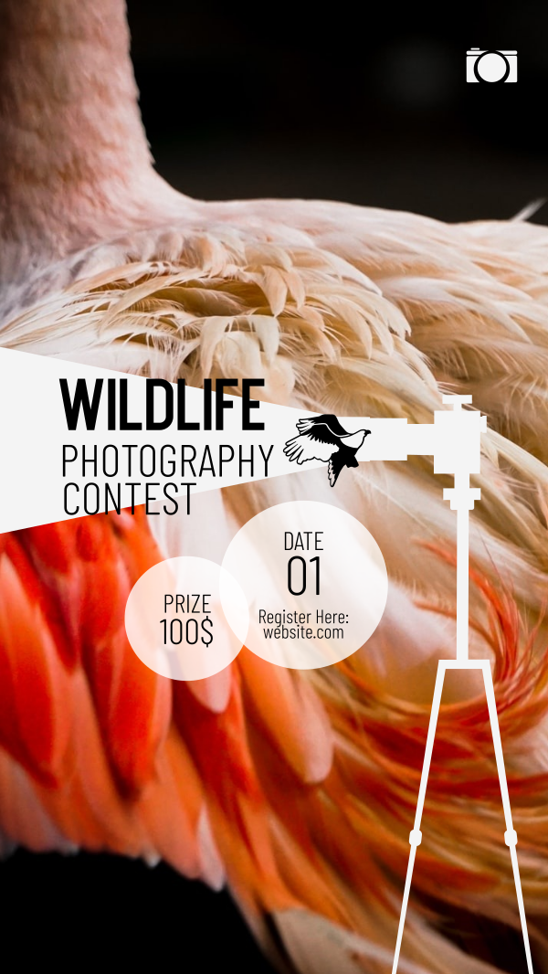 Wildlife Photography Contest Instagram Story Design Image Preview