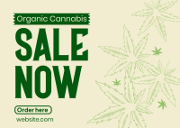 Pharmaceutical Marijuana Postcard Image Preview