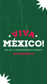Viva Mexico Flag Instagram reel Image Preview