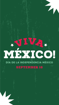 Viva Mexico Flag Instagram Reel Image Preview