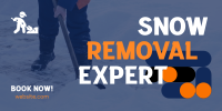 Snow Removal Expert Twitter post Image Preview