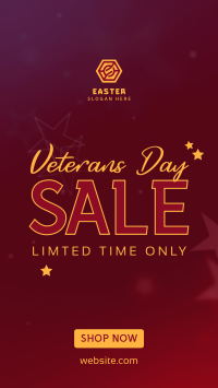 Veterans Medallion Sale Instagram story Image Preview