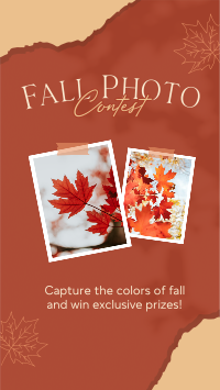 Fall Photo Contest TikTok Video Preview