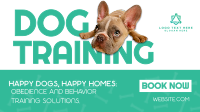 Dog Training Service Animation Preview