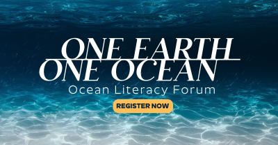 One Ocean Facebook ad Image Preview