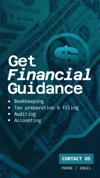 Financial Guidance Services TikTok Video Design