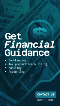 Financial Guidance Services TikTok video Image Preview