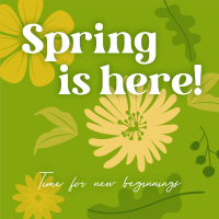 Spring New Beginnings Instagram post Image Preview