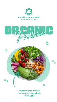 Healthy Salad Instagram Story Design