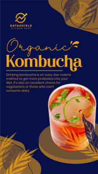 Probiotic Kombucha Instagram reel Image Preview