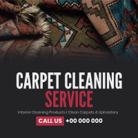 Carpet and Upholstery Maintenance Linkedin Post Image Preview