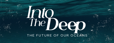 Into The Deep Facebook cover Image Preview