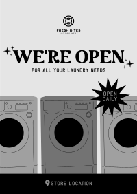 Laundry Store Hours Poster Image Preview