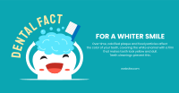 Whiter Smile Facebook ad Image Preview