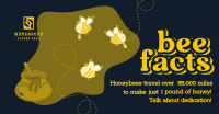 Honey Bee Facts Facebook Ad Design