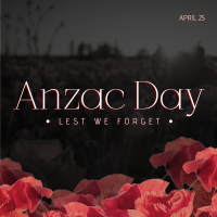 Anzac Poppies Instagram post Image Preview