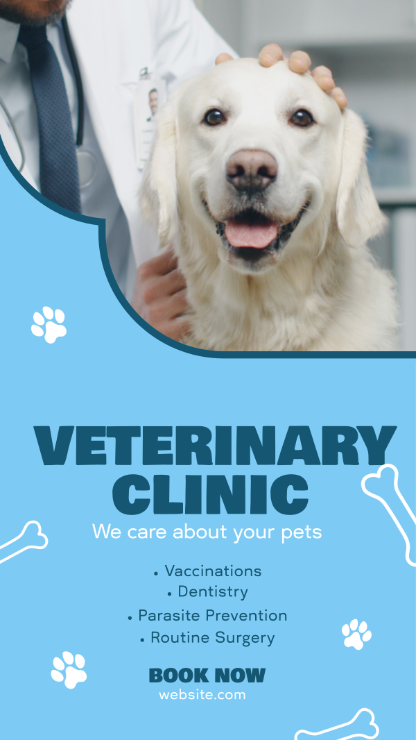 Professional Veterinarian Clinic Instagram Story Design