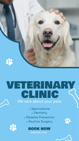 Professional Veterinarian Clinic Instagram story Image Preview