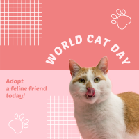 World Cat Day Adoption Instagram post Image Preview