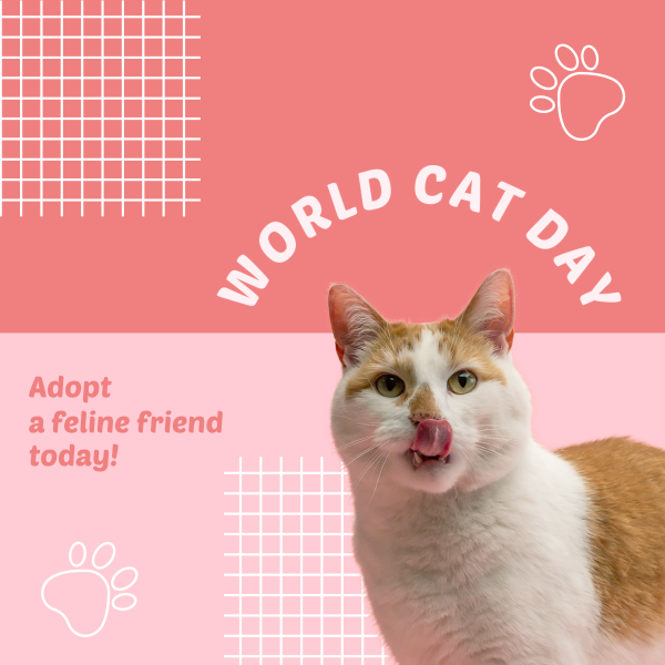 World Cat Day Adoption Instagram Post Design Image Preview