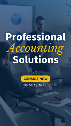 Professional Accounting Solutions Instagram story Image Preview