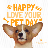 Wonderful Love Your Pet Day Greeting Linkedin Post Image Preview
