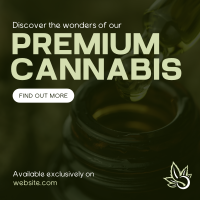 Premium Cannabis Linkedin Post Image Preview