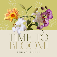 Bloom Spring Greeting Instagram Post Preview