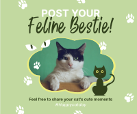 Cat Appreciation Post Facebook Post Design