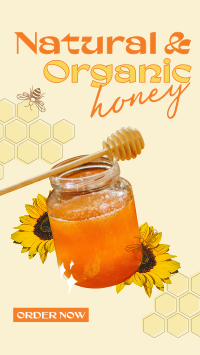 Delicious Organic Pure Honey Instagram Story Design