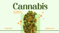 Medicinal Cannabis Animation Design
