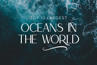 Minimalist Ocean Pinterest board cover Image Preview