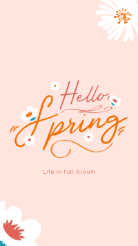Hello Spring Greeting TikTok Video Image Preview
