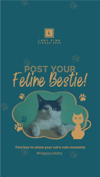 Cat Appreciation Post  Instagram Story Design