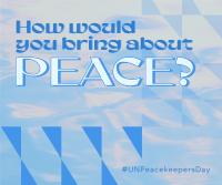 Day of UN Peacekeepers Facebook post Image Preview