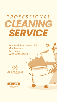 Cleaning Professionals Instagram story Image Preview