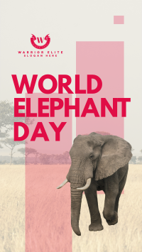 World Elephant Celebration Facebook Story Design