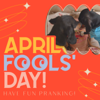 Quirky April Fools' Day Instagram Post Design