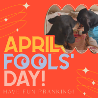 Quirky April Fools' Day Instagram post Image Preview