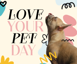 Love Your Pet Today Facebook post Image Preview