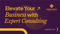 Expert Consulting Video Image Preview