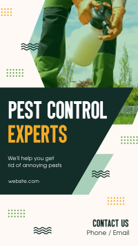 Pest Control Experts Video Preview