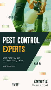 Pest Control Experts TikTok Video Image Preview